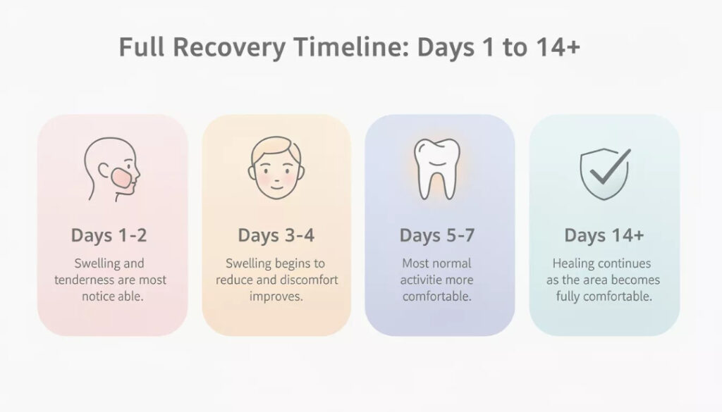 Full Recovery Timeline: Days 1 to 14+